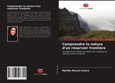 Buchcover von Comprendre la nature d'un réservoir frontière