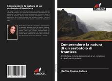 Buchcover von Comprendere la natura di un serbatoio di frontiera