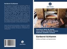 Portada del libro de Gerberei-Schlamm