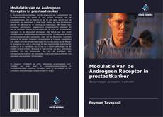 Buchcover von Modulatie van de Androgeen Receptor in prostaatkanker