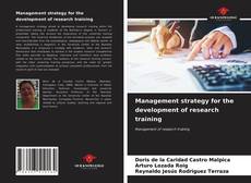 Management strategy for the development of research training kitap kapağı