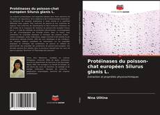 Buchcover von Protéinases du poisson-chat européen Silurus glanis L.