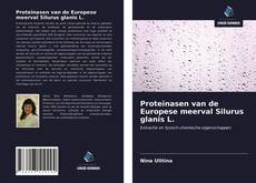 Bookcover of Proteïnasen van de Europese meerval Silurus glanis L.