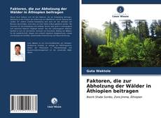 Portada del libro de Faktoren, die zur Abholzung der Wälder in Äthiopien beitragen