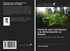 Bookcover of Factores que contribuyen a la deforestación en Etiopía