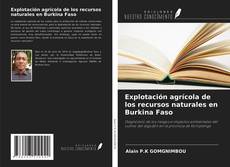 Copertina di Explotación agrícola de los recursos naturales en Burkina Faso