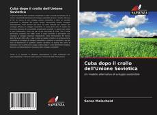 Bookcover of Cuba dopo il crollo dell'Unione Sovietica