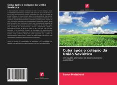 Capa do livro de Cuba após o colapso da União Soviética 