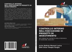 CONTROLLO INTERNO NELL'ESECUZIONE DI PROGETTI DI INVESTIMENTO的封面