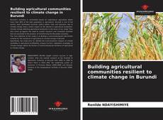 Capa do livro de Building agricultural communities resilient to climate change in Burundi 