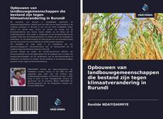 Bookcover of Opbouwen van landbouwgemeenschappen die bestand zijn tegen klimaatverandering in Burundi