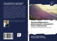 Borítókép a  Целесообразность реализации сланцевого газа в Аргентине - hoz