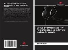 Copertina di Do we overmedicate low-risk pregnancies in level 3 maternity wards
