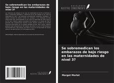 Bookcover of Se sobremedican los embarazos de bajo riesgo en las maternidades de nivel 3?