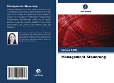 Copertina di Management-Steuerung