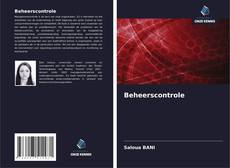 Beheerscontrole kitap kapağı