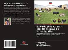 Couverture de Étude du gène IGFBP-3 chez les animaux de ferme égyptiens