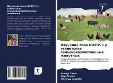 Copertina di Изучение гена IGFBP-3 у египетских сельскохозяйственных животных