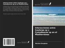 Interacciones entre Caulerpa sp y Cymodeocea sp en el Mediterráneo kitap kapağı
