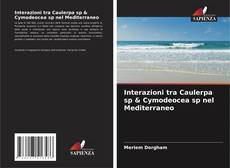 Обложка Interazioni tra Caulerpa sp & Cymodeocea sp nel Mediterraneo