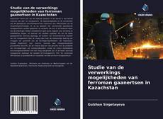 Bookcover of Studie van de verwerkings mogelijkheden van ferroman gaanertsen in Kazachstan