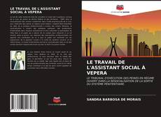 Обложка LE TRAVAIL DE L'ASSISTANT SOCIAL À VEPERA