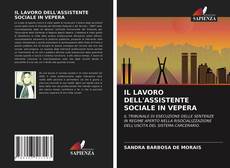 IL LAVORO DELL'ASSISTENTE SOCIALE IN VEPERA的封面