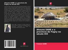 Bookcover of Ahoune SANE e a província de Fogny no século XIX