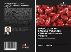 PRODUZIONE DI FAGIOLO VEGETALE CANARIO (Phaseolus vulgaris)的封面