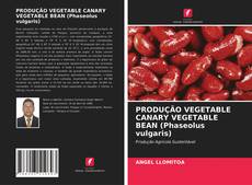 Bookcover of PRODUÇÃO VEGETABLE CANARY VEGETABLE BEAN (Phaseolus vulgaris)