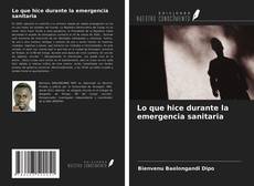 Bookcover of Lo que hice durante la emergencia sanitaria