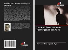 Bookcover of Cosa ho fatto durante l'emergenza sanitaria