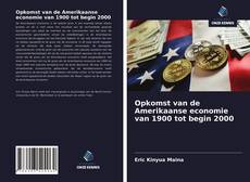 Buchcover von Opkomst van de Amerikaanse economie van 1900 tot begin 2000