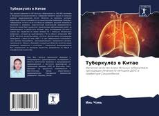 Capa do livro de Туберкулёз в Китае 