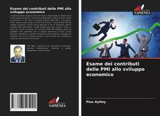 Esame dei contributi delle PMI allo sviluppo economico kitap kapağı