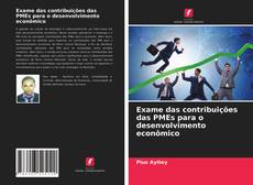 Exame das contribuições das PMEs para o desenvolvimento econômico的封面