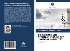 Portada del libro de DIE SOZIALE UND RECHTLICHE KRISE DER JUGENDKRIMINALITÄT