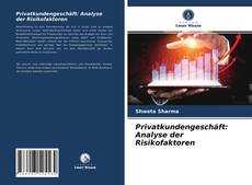 Portada del libro de Privatkundengeschäft: Analyse der Risikofaktoren