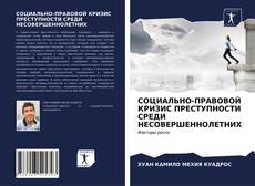 Buchcover von СОЦИАЛЬНО-ПРАВОВОЙ КРИЗИС ПРЕСТУПНОСТИ СРЕДИ НЕСОВЕРШЕННОЛЕТНИХ