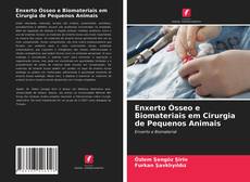 Bookcover of Enxerto Ósseo e Biomateriais em Cirurgia de Pequenos Animais