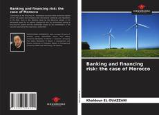 Capa do livro de Banking and financing risk: the case of Morocco 