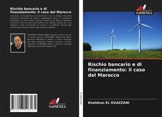 Bookcover of Rischio bancario e di finanziamento: il caso del Marocco