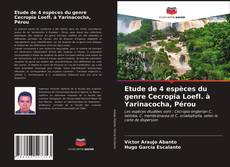 Couverture de Etude de 4 espèces du genre Cecropia Loefl. à Yarinacocha, Pérou