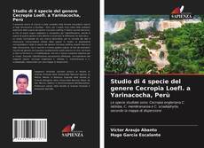 Buchcover von Studio di 4 specie del genere Cecropia Loefl. a Yarinacocha, Perù