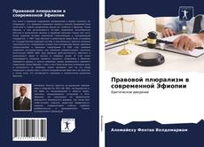 Bookcover of Правовой плюрализм в современной Эфиопии