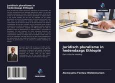 Capa do livro de Juridisch pluralisme in hedendaags Ethiopië 