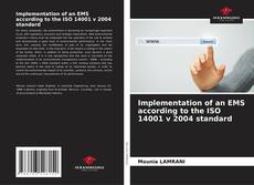 Copertina di Implementation of an EMS according to the ISO 14001 v 2004 standard