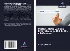 Copertina di Implementatie van een EMS volgens de ISO 14001 v 2004 norm