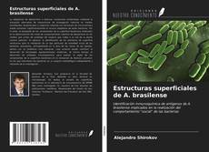 Copertina di Estructuras superficiales de A. brasilense