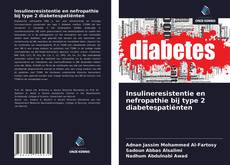 Bookcover of Insulineresistentie en nefropathie bij type 2 diabetespatiënten